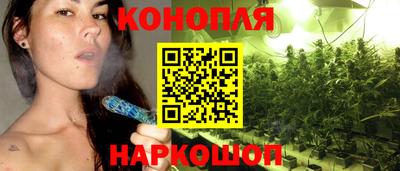 бошки Будённовск