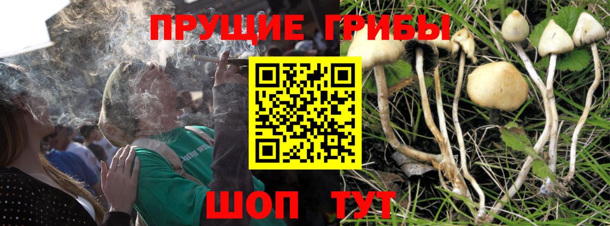 Галлюциногенные грибы MAGIC MUSHROOMS Советский